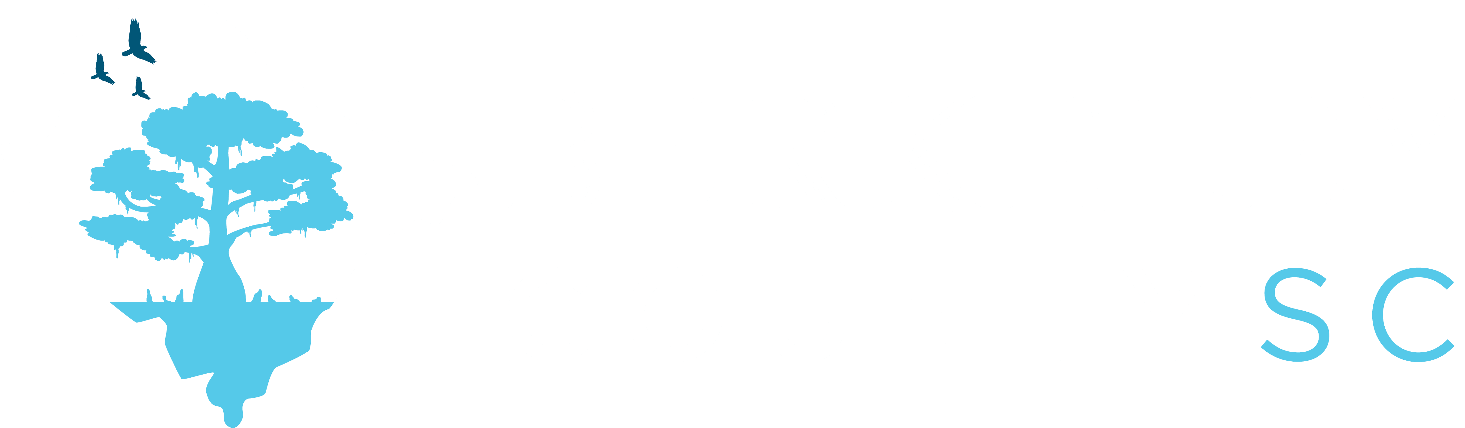 Berkeley County, South Carolina
